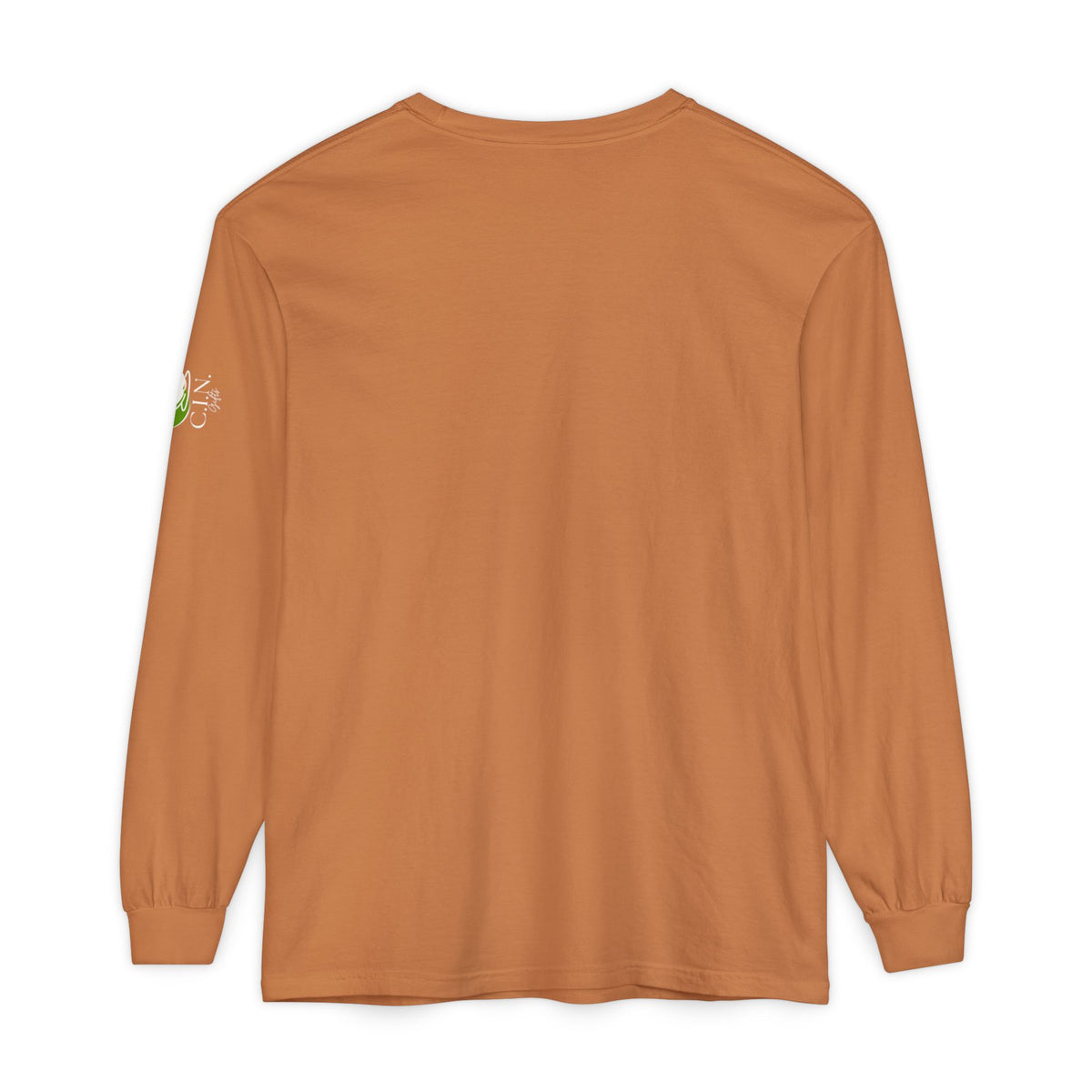 Walk by Faith Sun Graphic Long Sleeve Tee
